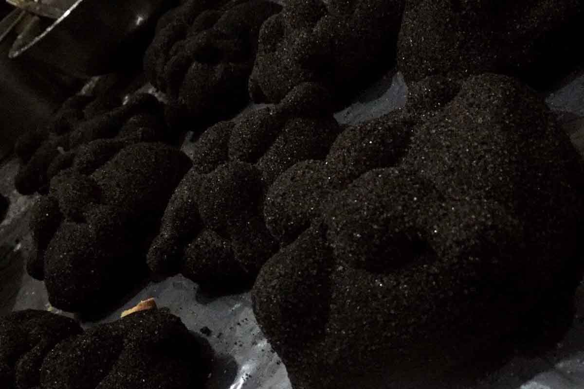 Pan de muerto color negro, parte de las tradiciones mexicanas del mes de noviembre 