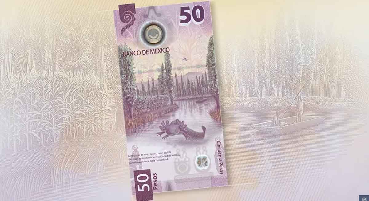 Billetes de 50 pesos nuevo: ¿Cuándo estarán en circulación?
