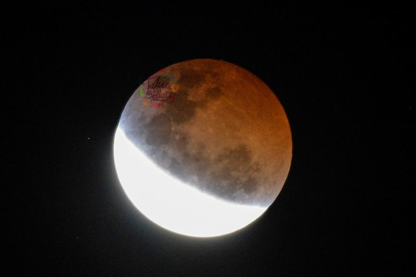 Eclipses 2021: el próximo será en este mes de noviembre
