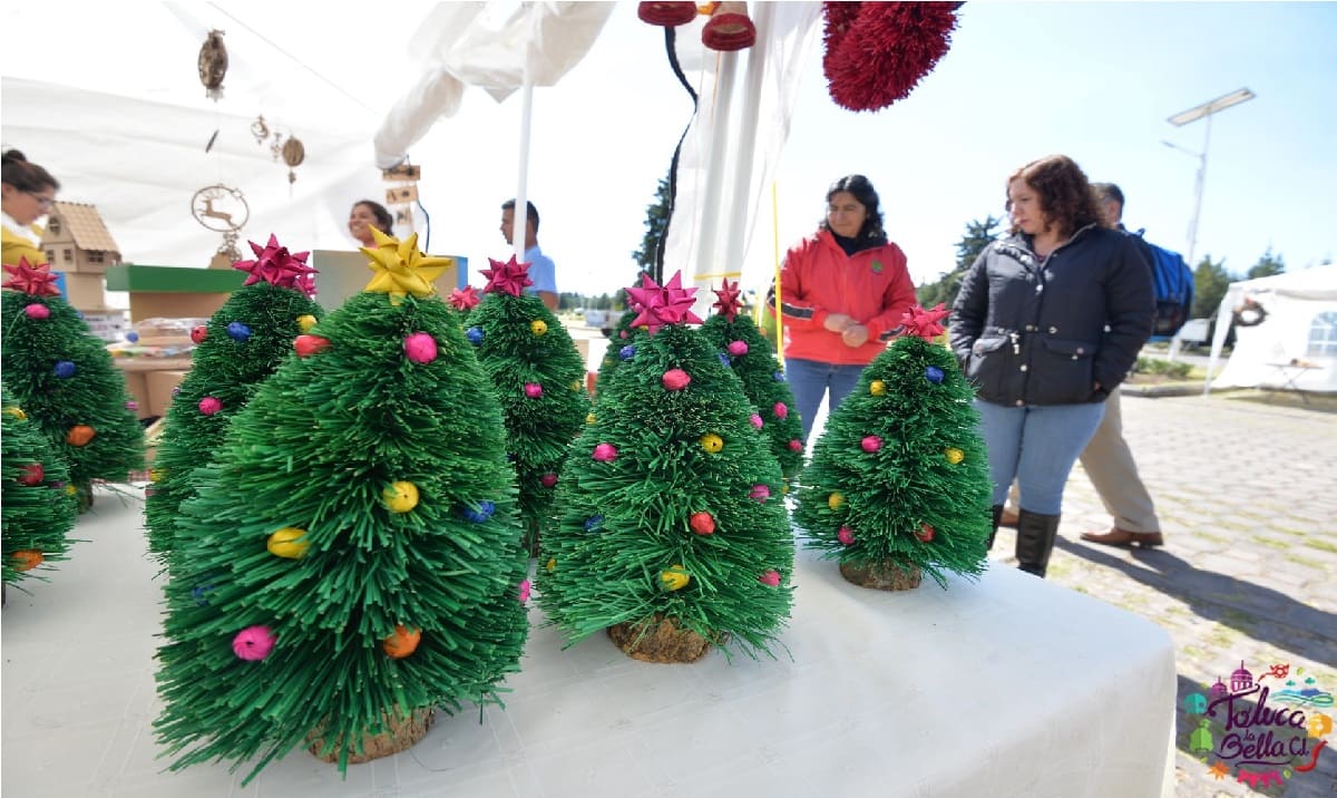 El Edomex prepara 400 mil árboles de Navidad naturales para este 2021
