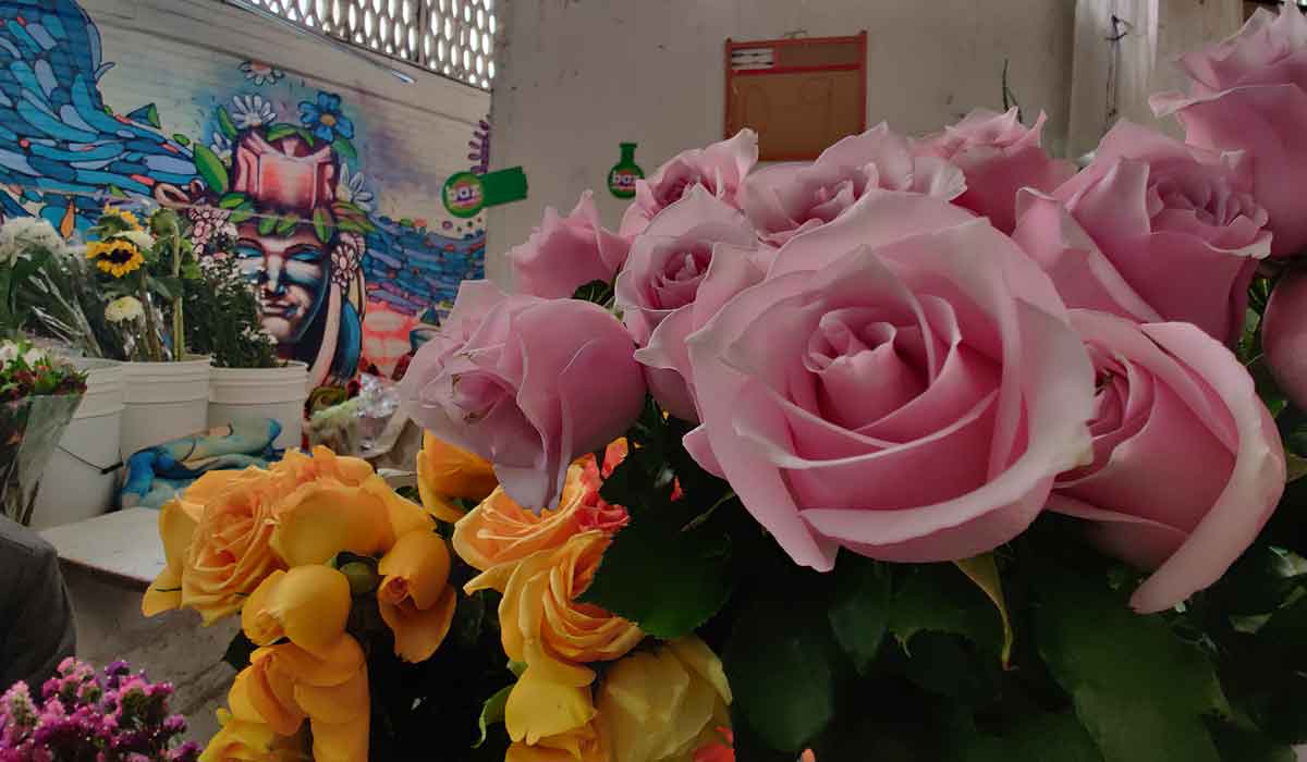 ¿Estas en las compras de último momento?, así van los costos de rosas y globos este 14 de febrero 2022 en la ciudad de Toluca.