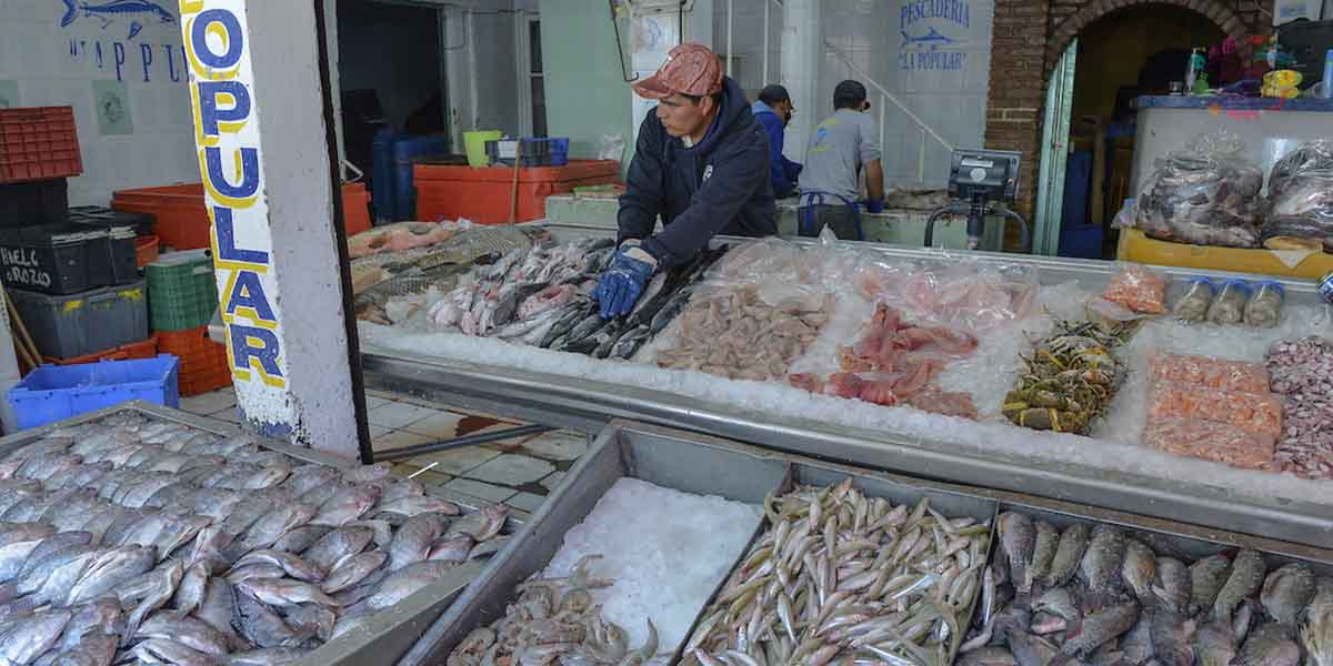 Profeco 2022 da a conocer costos promedio del pescado