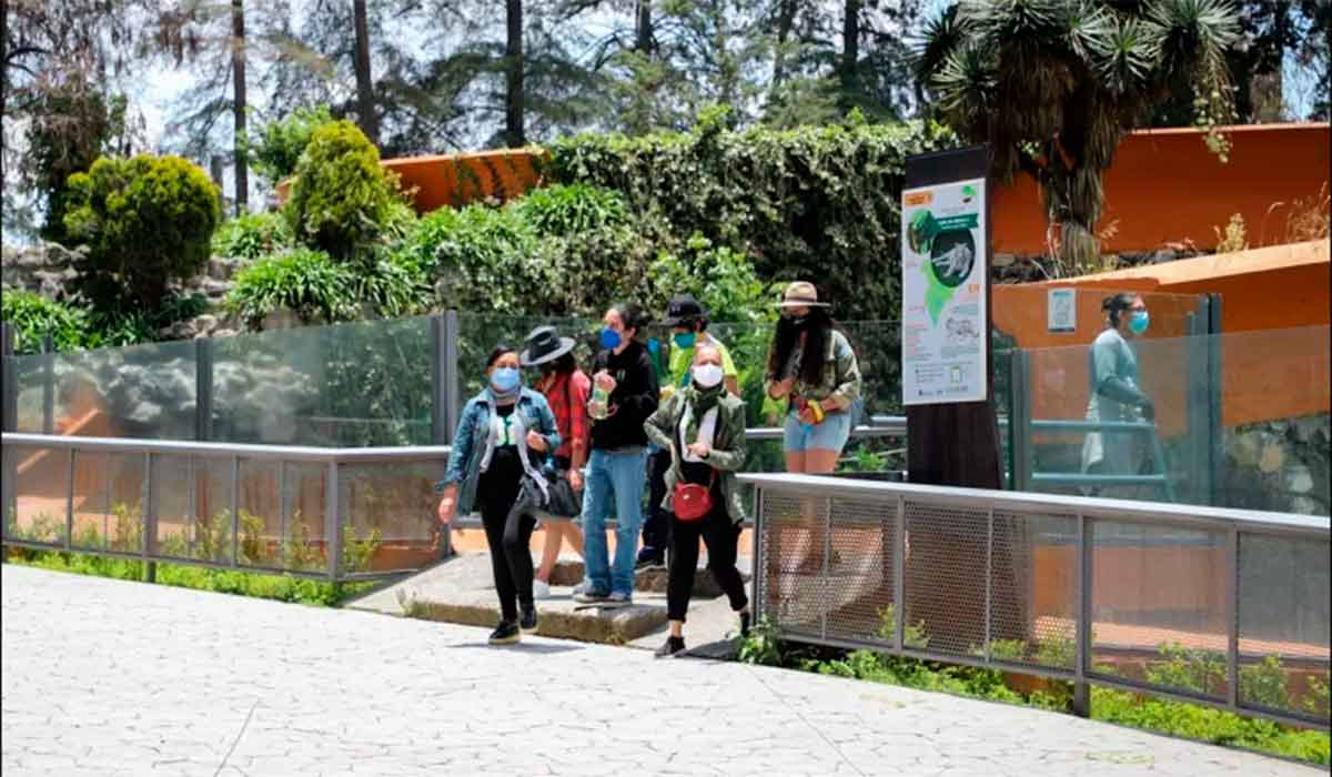 El 7 de marzo del 2022, el semáforo epidemiológico pasó a verde; estos parques, zoológicos y áreas naturales del Edoméx aumentaron de aforo.