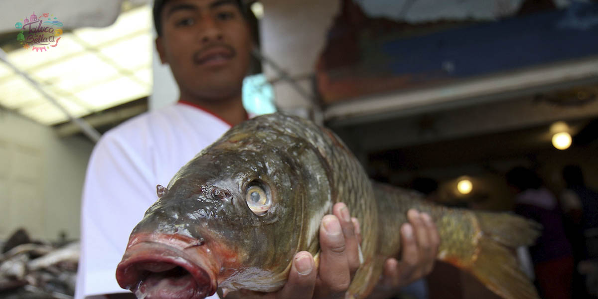 Cuaresma 2022: Consejos para comprar pescado en esta temporada