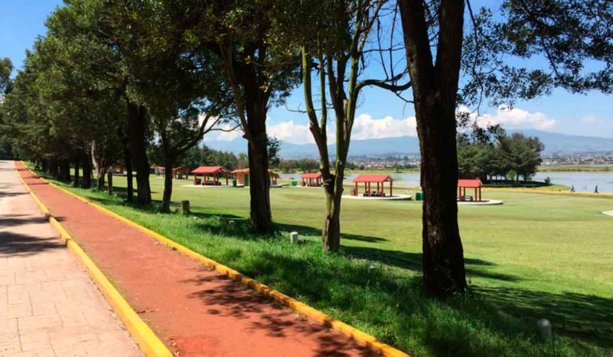 Edoméx: ¡Parques Naturales cerca de Toluca para visitar este fin de semana!