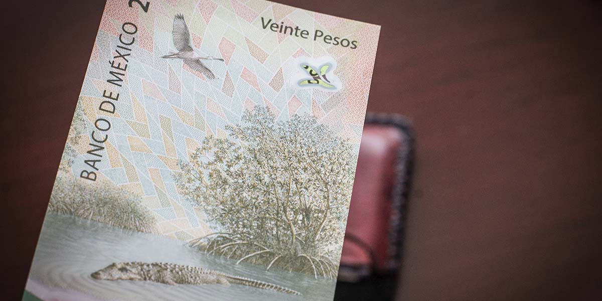 El billete nuevo 20 de pesos se oferta a 300 mil pesos en internet