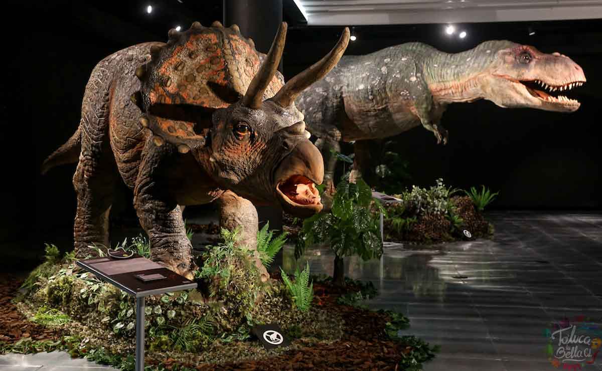 Convive con dinosaurios en tamaño real en Toluca! Pasos para comprar tus  boletos en línea