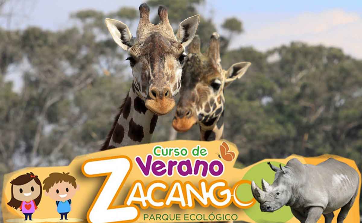 Inscribe a tu niño al curso de verano en el Zoológico de Zacango: Fechas y costos
