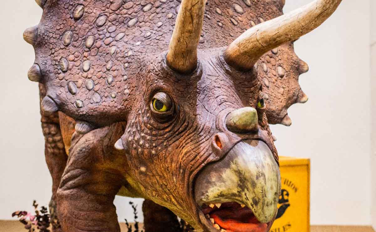 ¡El mundo Jurásico llegó a Toluca! Horarios y costo de boleto para convivir con dinosaurios