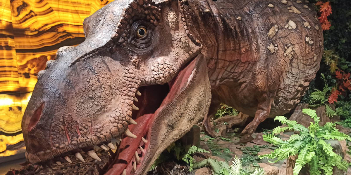 Exposición de dinosaurios en Toluca podrá ser visitado de noche
