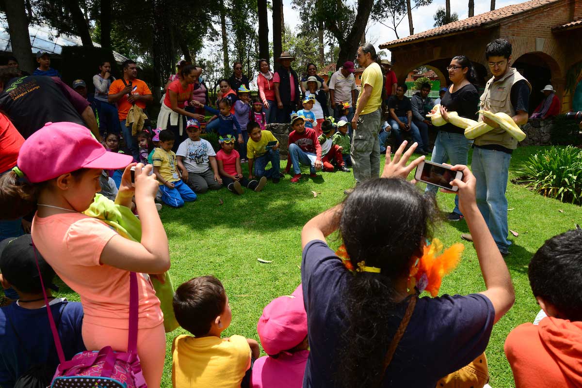 Curso de Verano del Centro Cultural Toluca, ¡la mejor opción para estas vacaciones!
