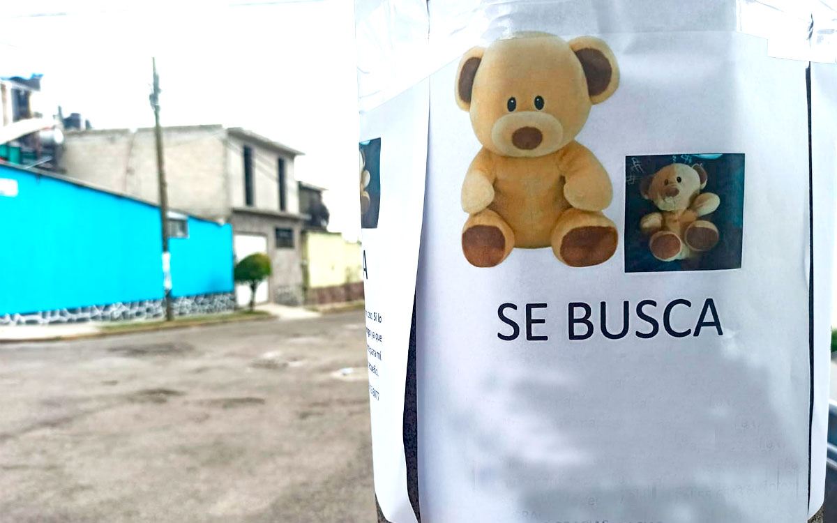 Historia viral: Pequeño de Toluca busca a su mejor amigo “Osito”