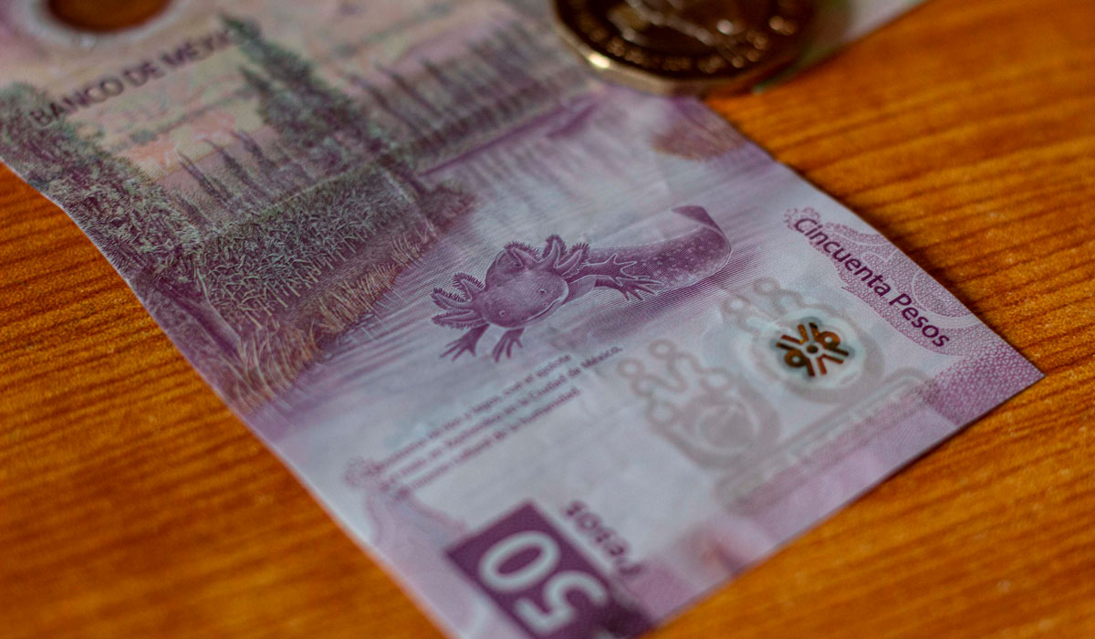 ¡Es tu momento! Checa los detalles y características que hacen que este billete de 50 pesos del ajolote cueste $500,000 pesos en internet.
