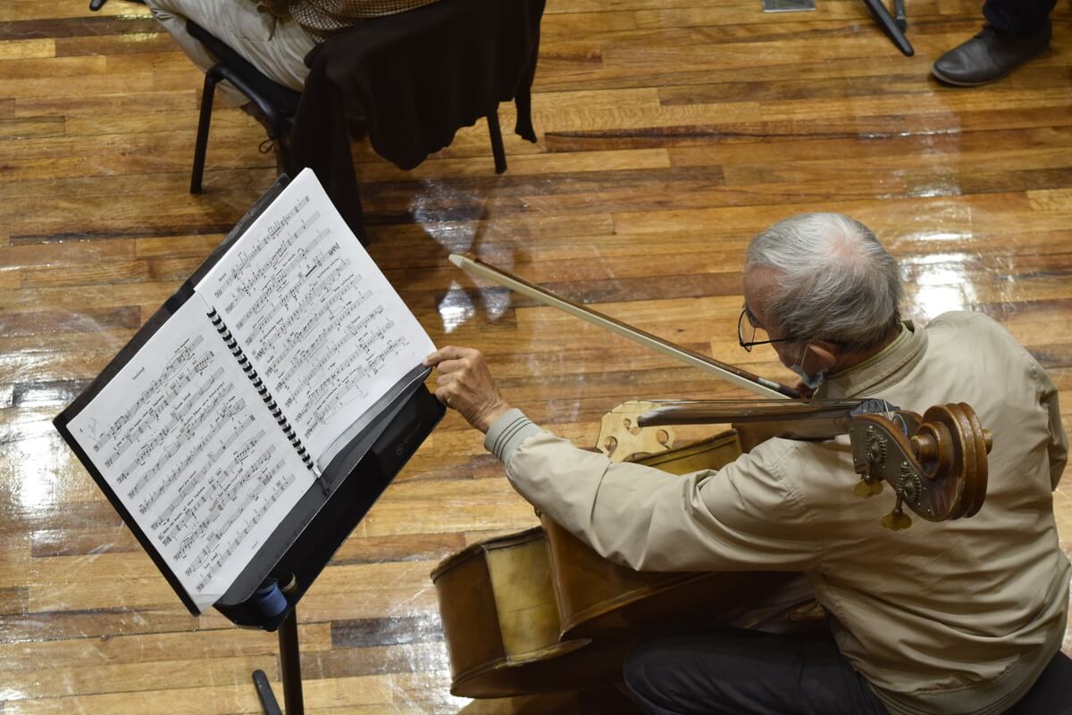 imagen de músico por concierto de igor stravinsky