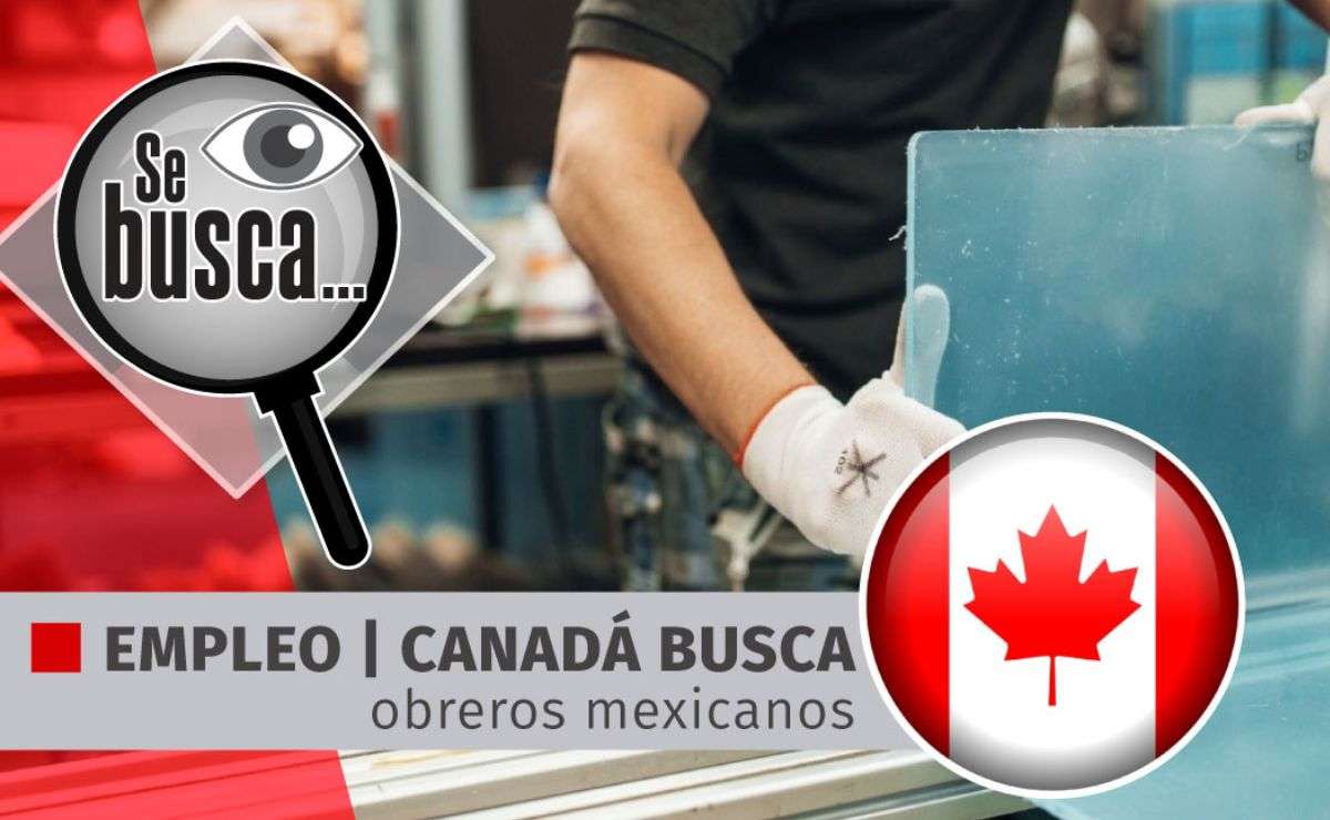Sueldo de 34 mil pesos para vacantes de empleo en Canadá