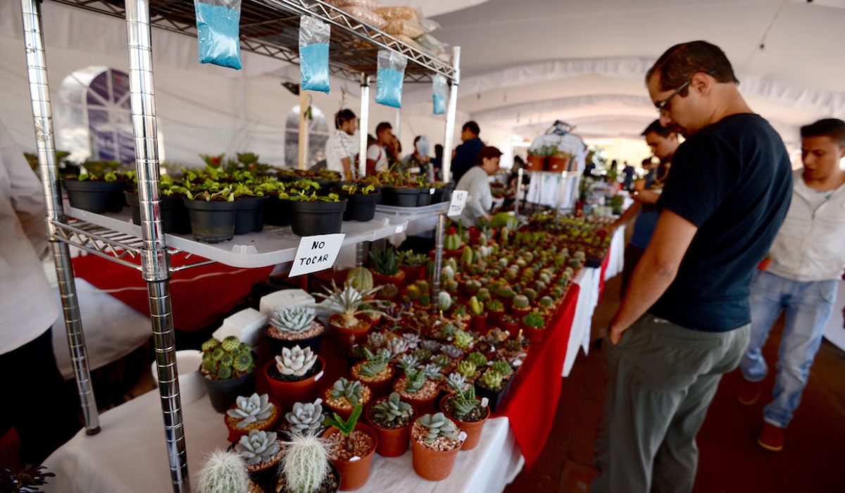 ¿Eres la señora de las plantas?, Lánzate al primer Festival Plantero Xonacatlán 2023 